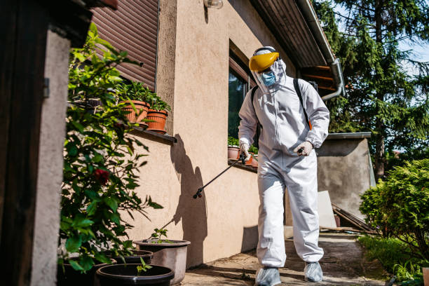 Best Termite Control Services  in Sheridan, CO
